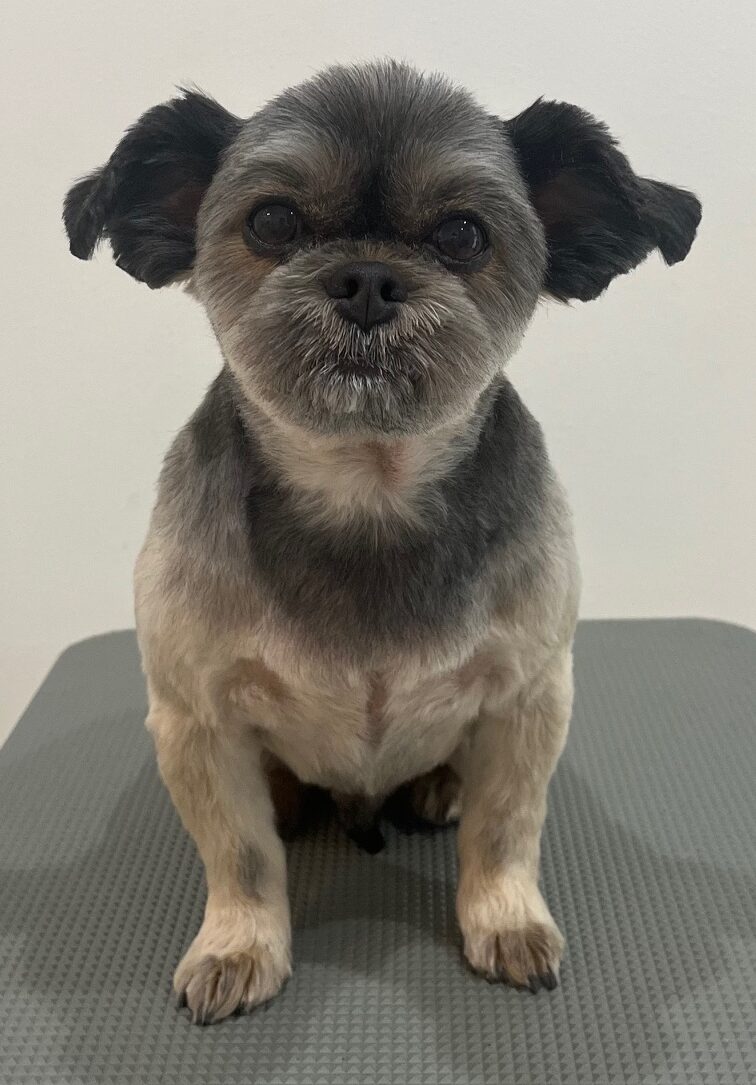 2025-10-29-%e4%ba%80%e5%b1%b1%e3%83%9d%e3%83%b3%e5%a4%aa