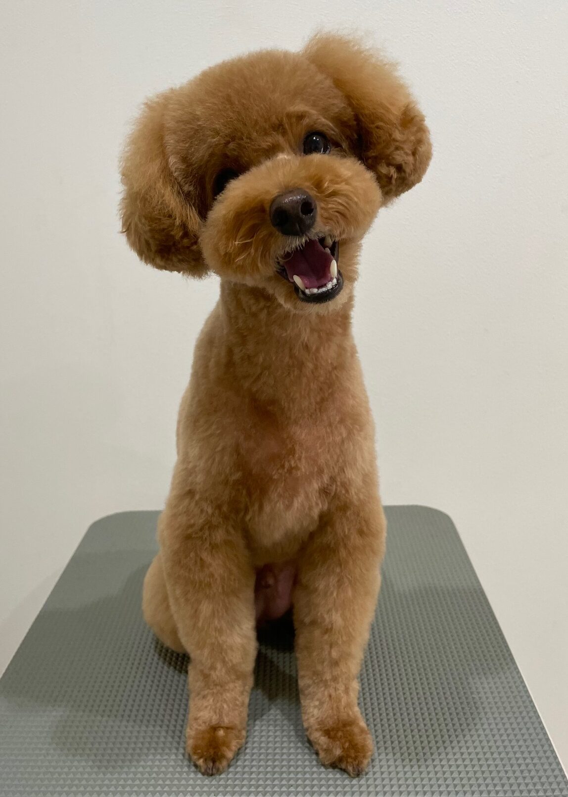 2025-10-29-%e4%bc%8a%e8%b1%86%e5%b7%9d%e7%a9%ba%e6%9d%a5