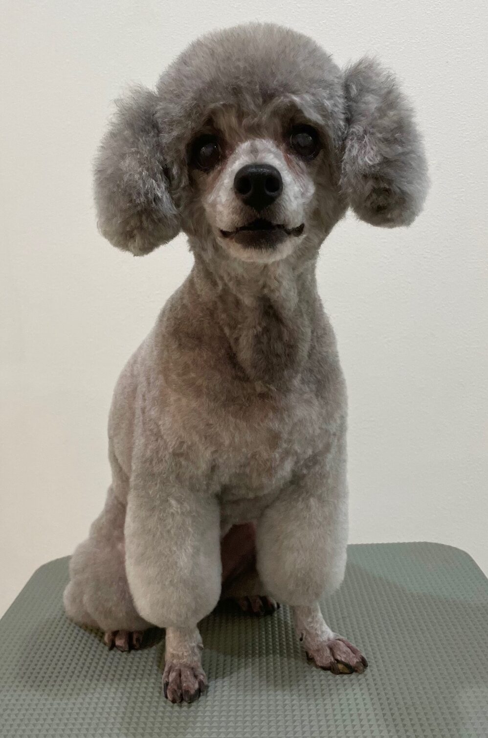 2025-10-29-%e5%90%8d%e5%8f%96%e3%82%bd%e3%83%95%e3%82%a3%e3%82%a2