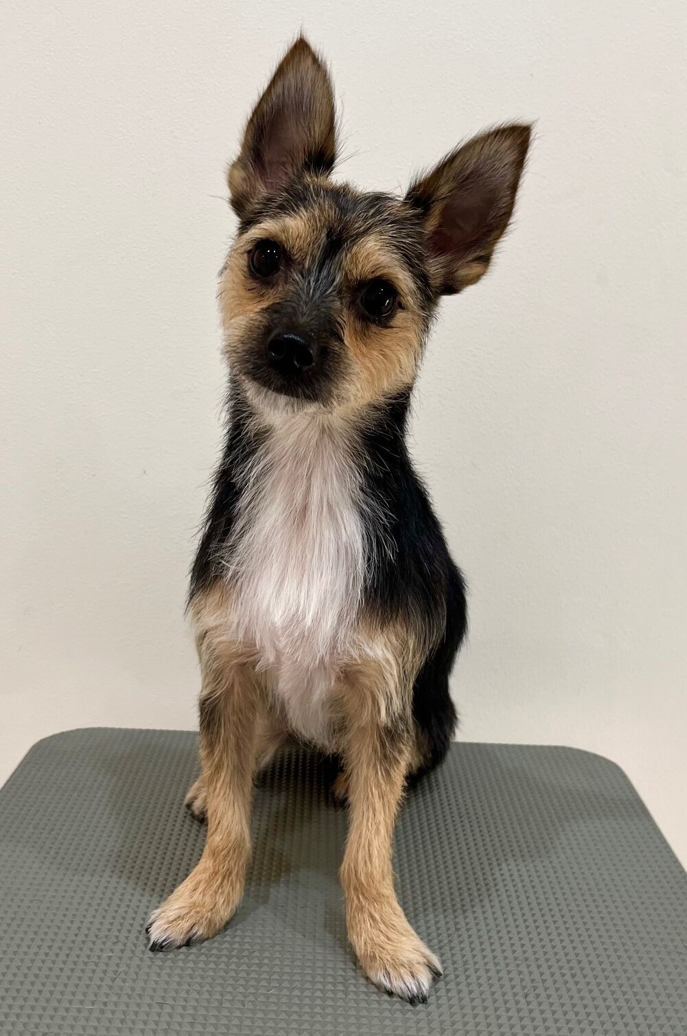 2025-10-29-%e6%9d%89%e5%b4%8e%e3%82%89%e3%81%84