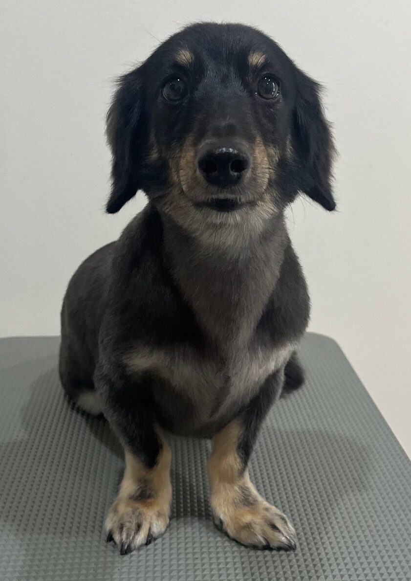 2025-10-29-%e6%9d%89%e6%9d%91%e3%82%89%e3%82%93