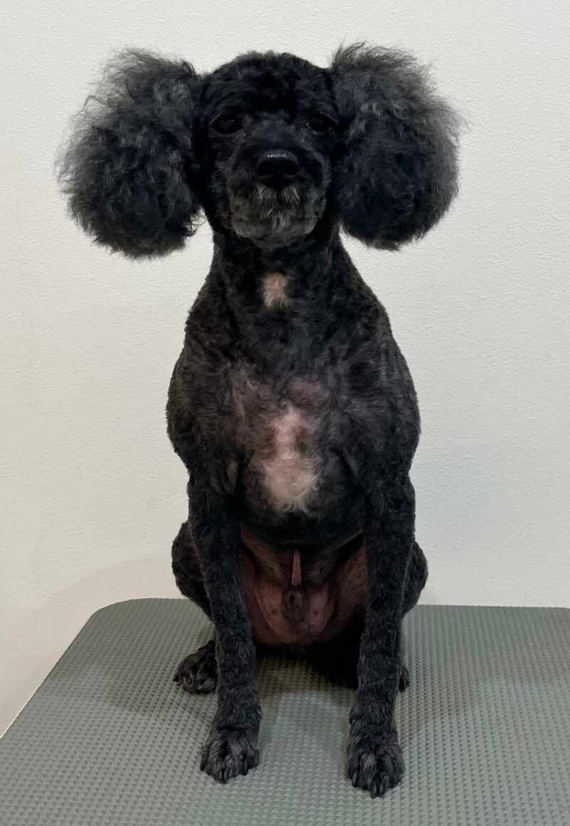 2025-10-29-%e6%b8%a1%e9%83%a8%e3%83%86%e3%82%a3%e3%83%9f%e3%83%bc