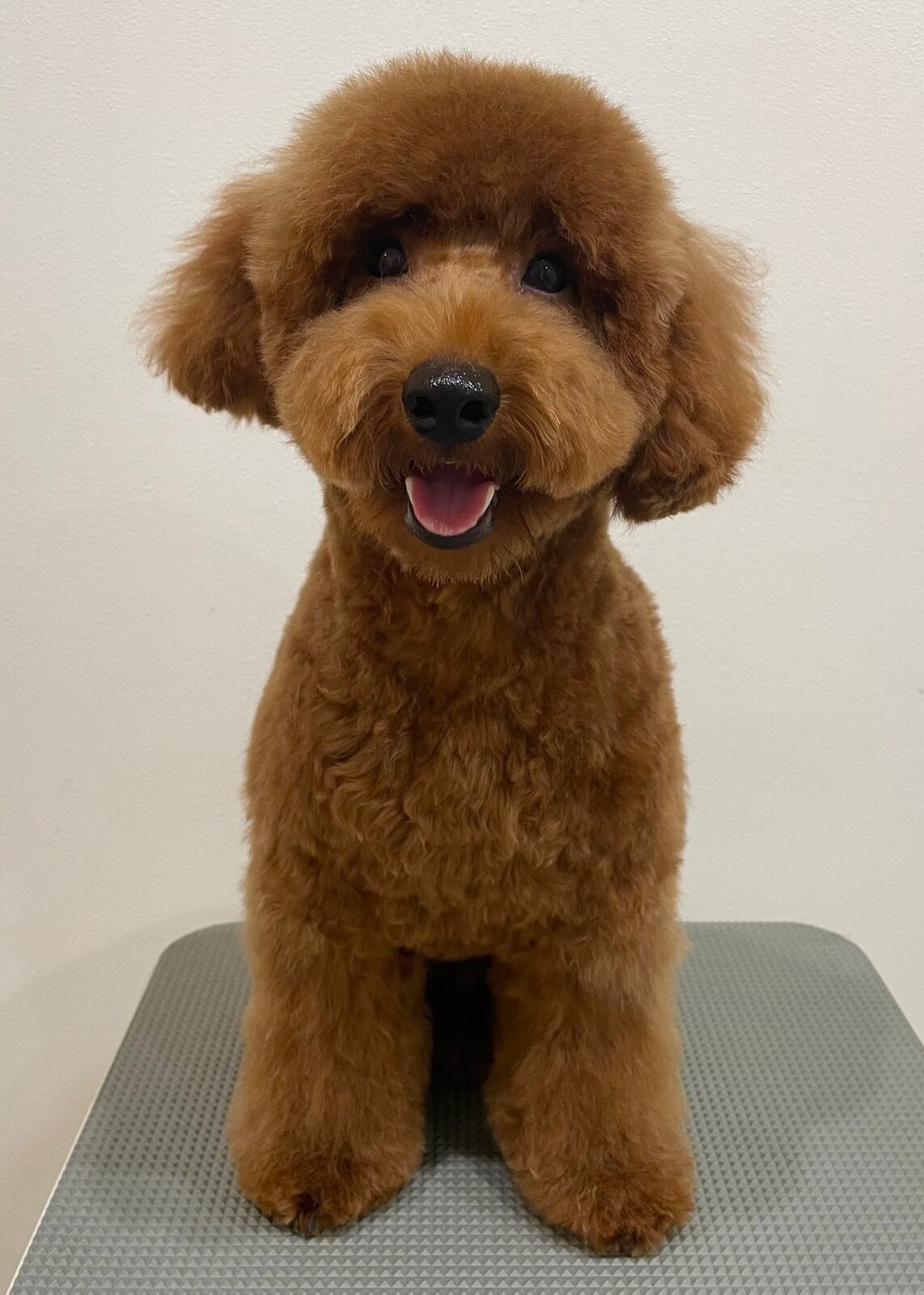 2025-10-29-%e9%88%b4%e6%9c%a8%e3%82%80%e3%81%8f