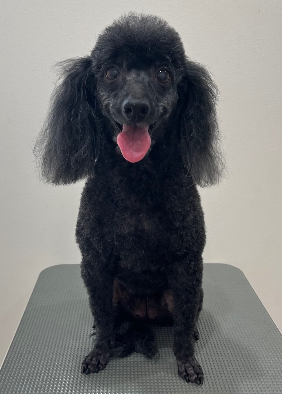 2025-10-3-%e4%ba%95%e4%b8%8a%e3%82%a2%e3%83%b3