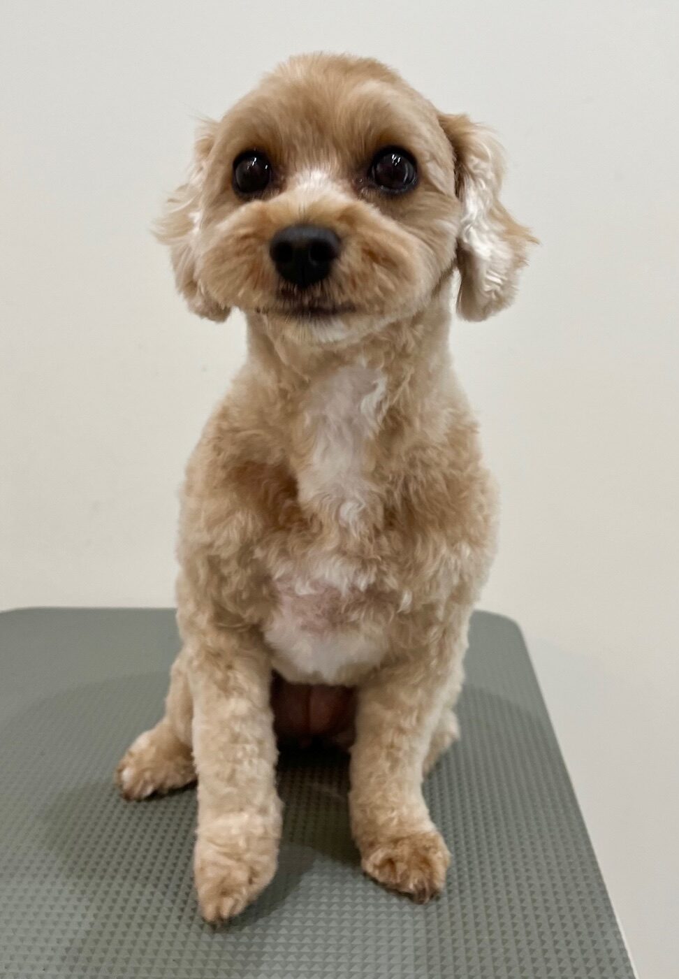 2025-10-3-%e5%b9%b8%e7%9c%9f%e3%81%b7%e3%81%b7