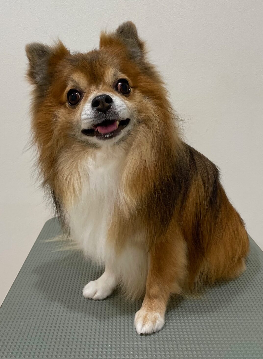 2025-10-3-%e7%80%ac%e6%88%b8%e3%83%ab%e3%83%bc%e3%82%af