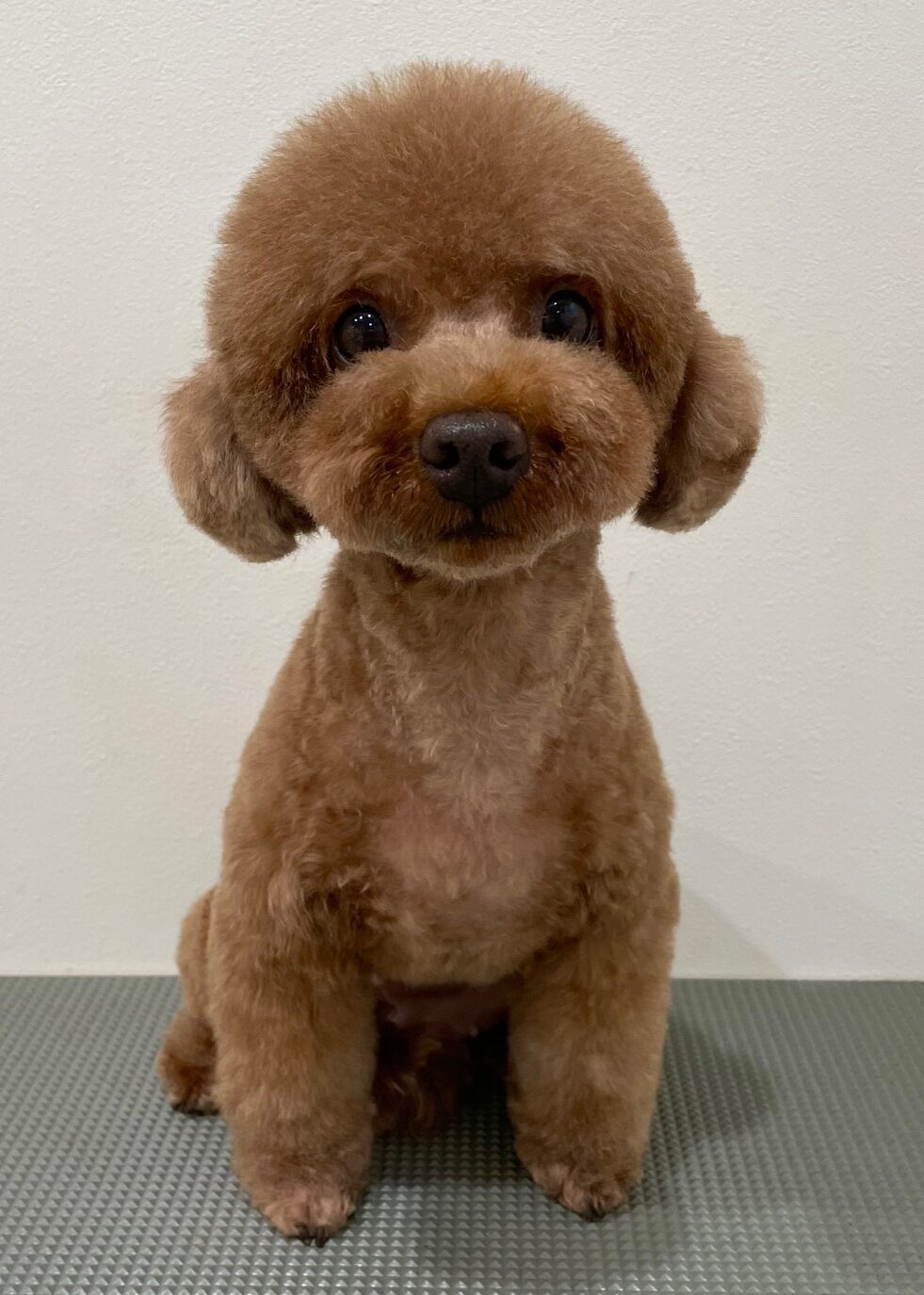 2025-10-3-%e8%97%a4%e7%94%b0%e3%82%af%e3%83%ac%e3%82%a2