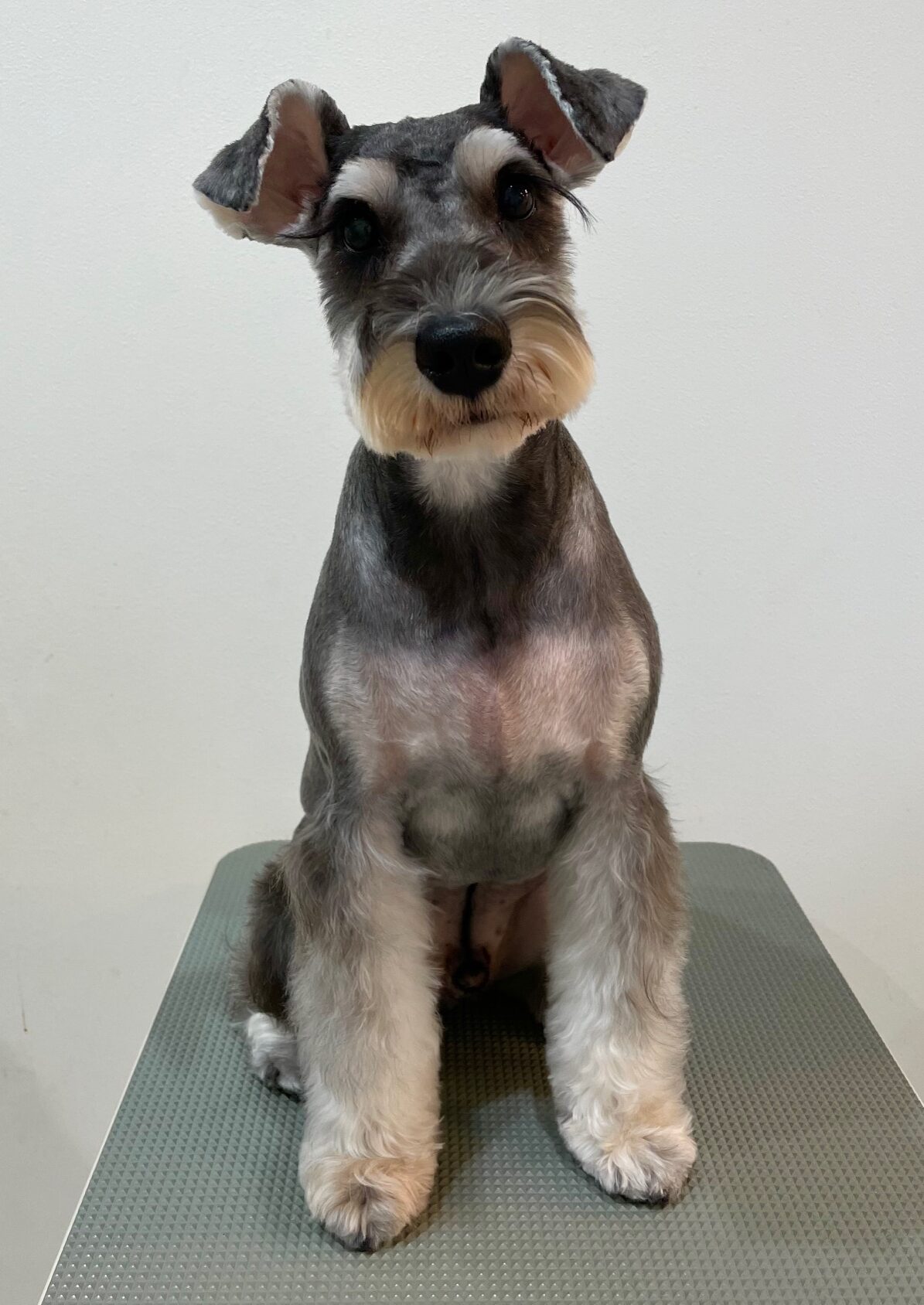 2025-10-3-%e8%97%a4%e7%94%b0%e3%83%86%e3%82%a3%e3%83%b3%e3%83%90