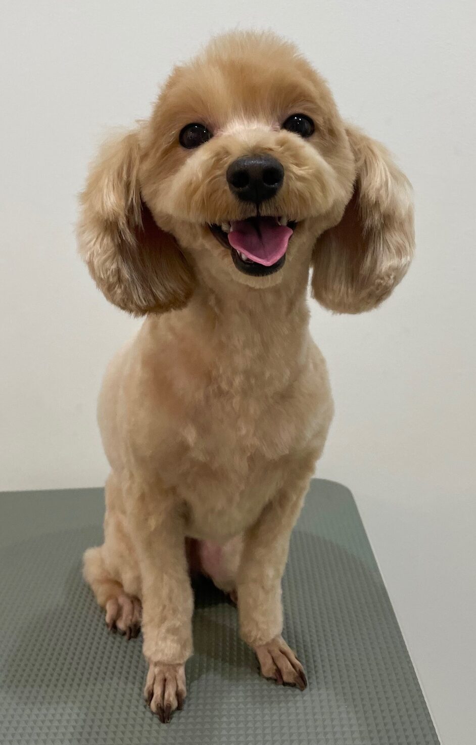 2025-10-31-%e5%8f%a4%e5%b7%9dloco