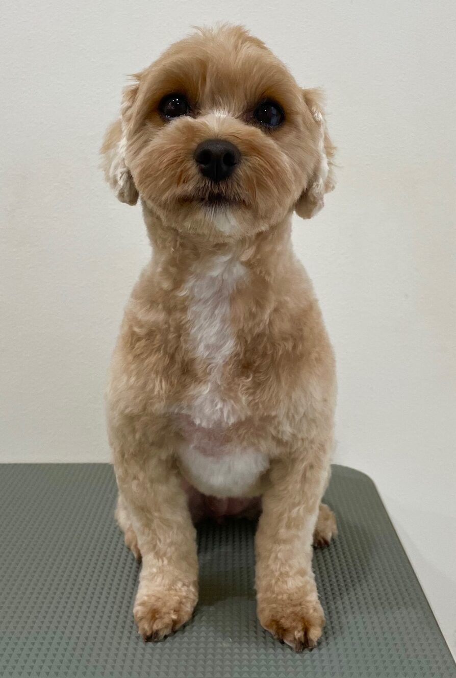 2025-10-31-%e5%b9%b8%e7%9c%9f%e3%81%b7%e3%81%b7