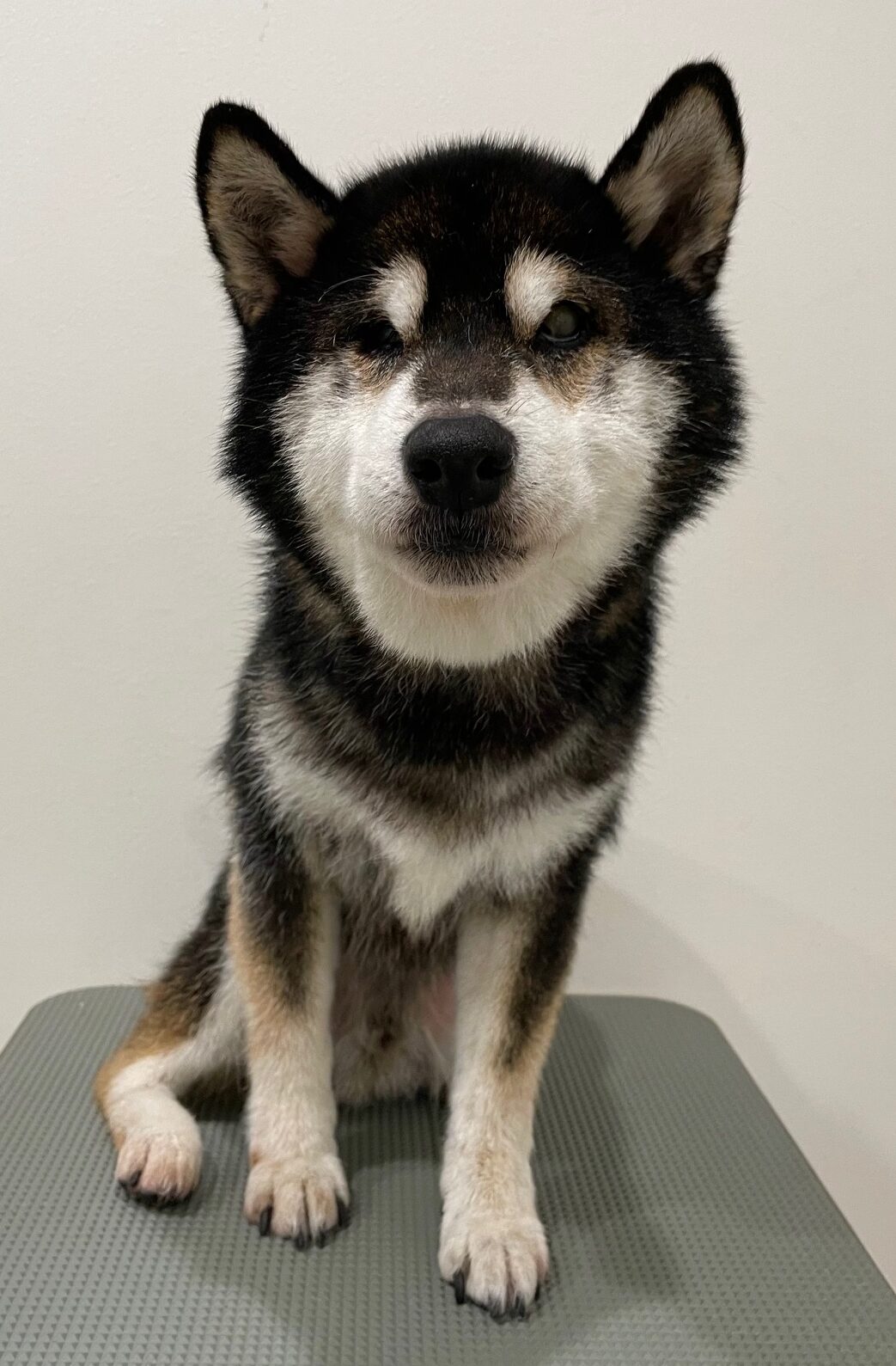 2025-10-31-%e9%ab%98%e6%a9%8b%e3%82%b3%e3%82%bf%e3%83%ad%e3%82%a6