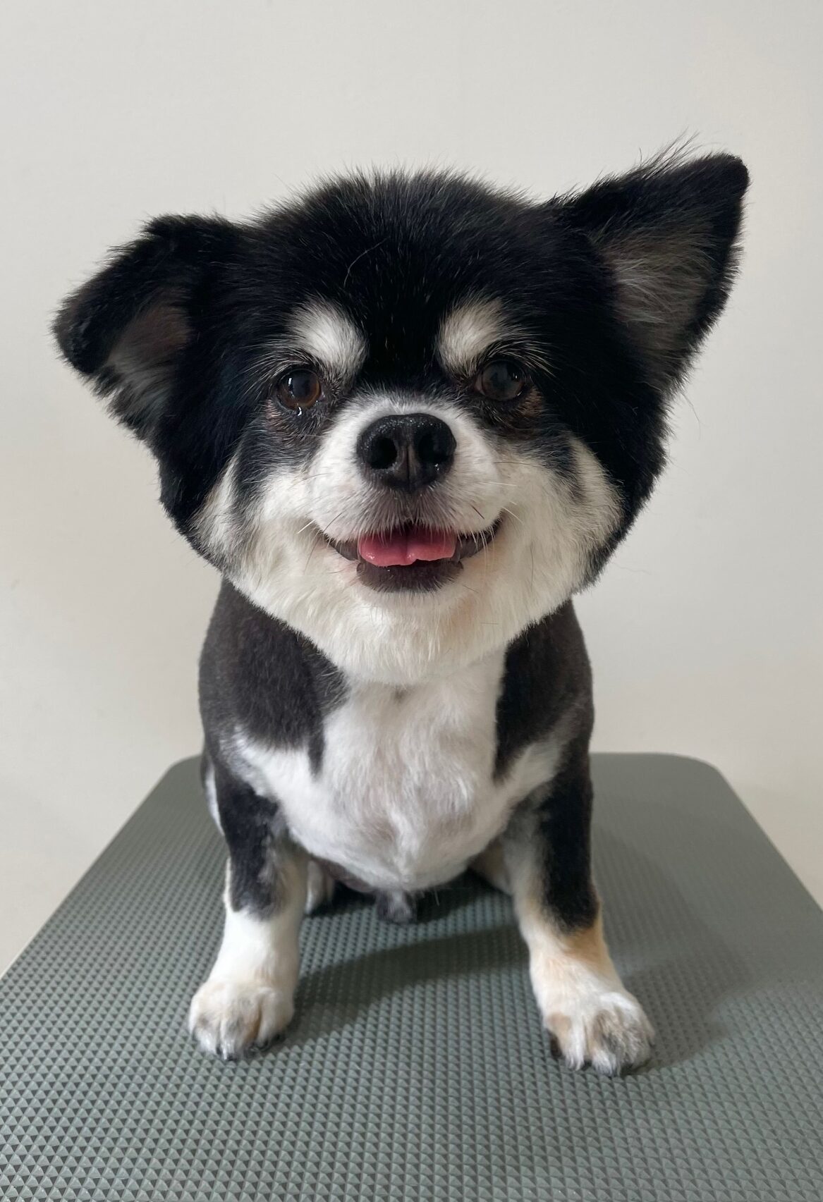 2025-10-5-%e4%bd%90%e8%97%a4%e3%83%ac%e3%82%aa