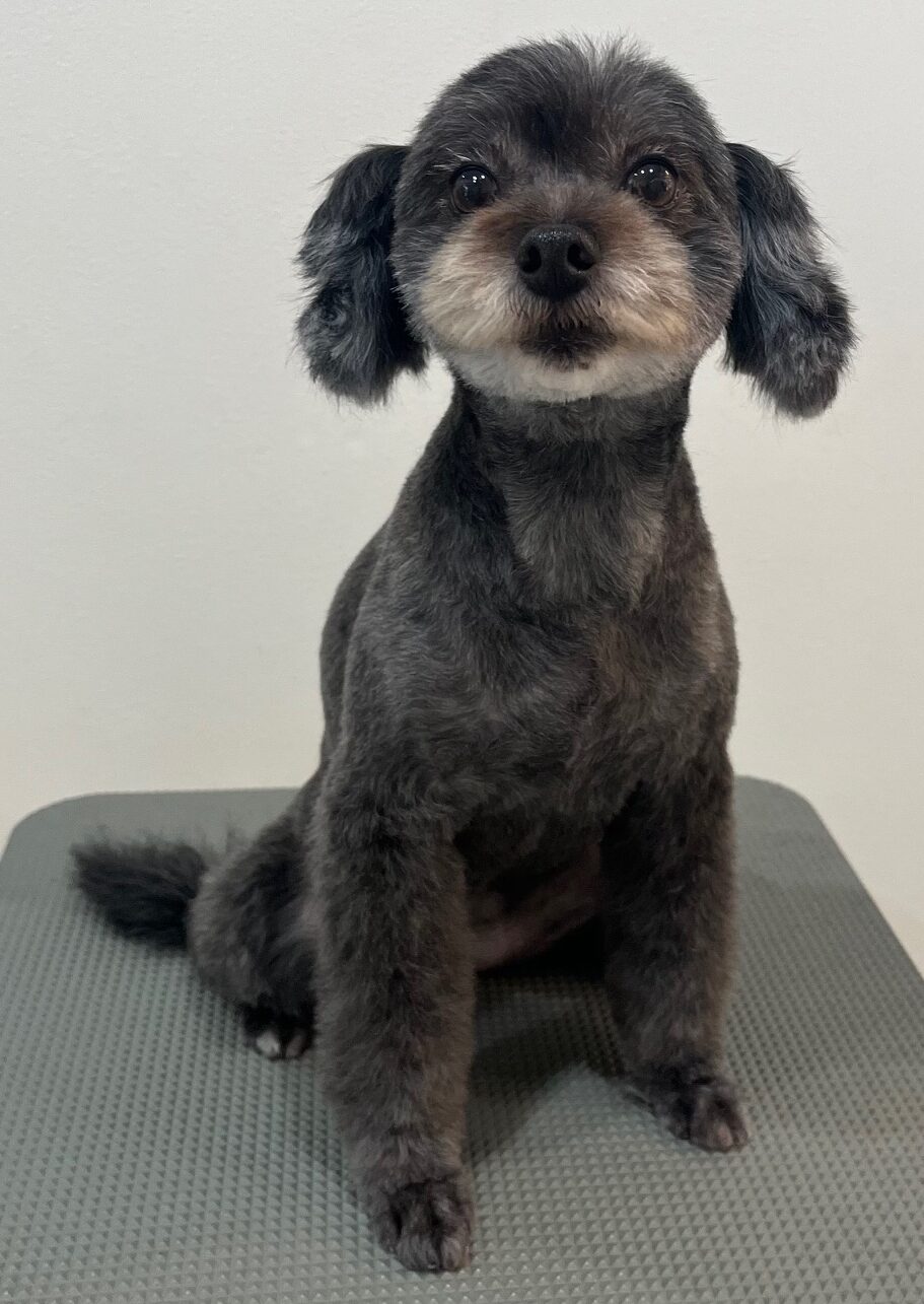 2025-10-5-%e9%9d%92%e6%9c%a8cara