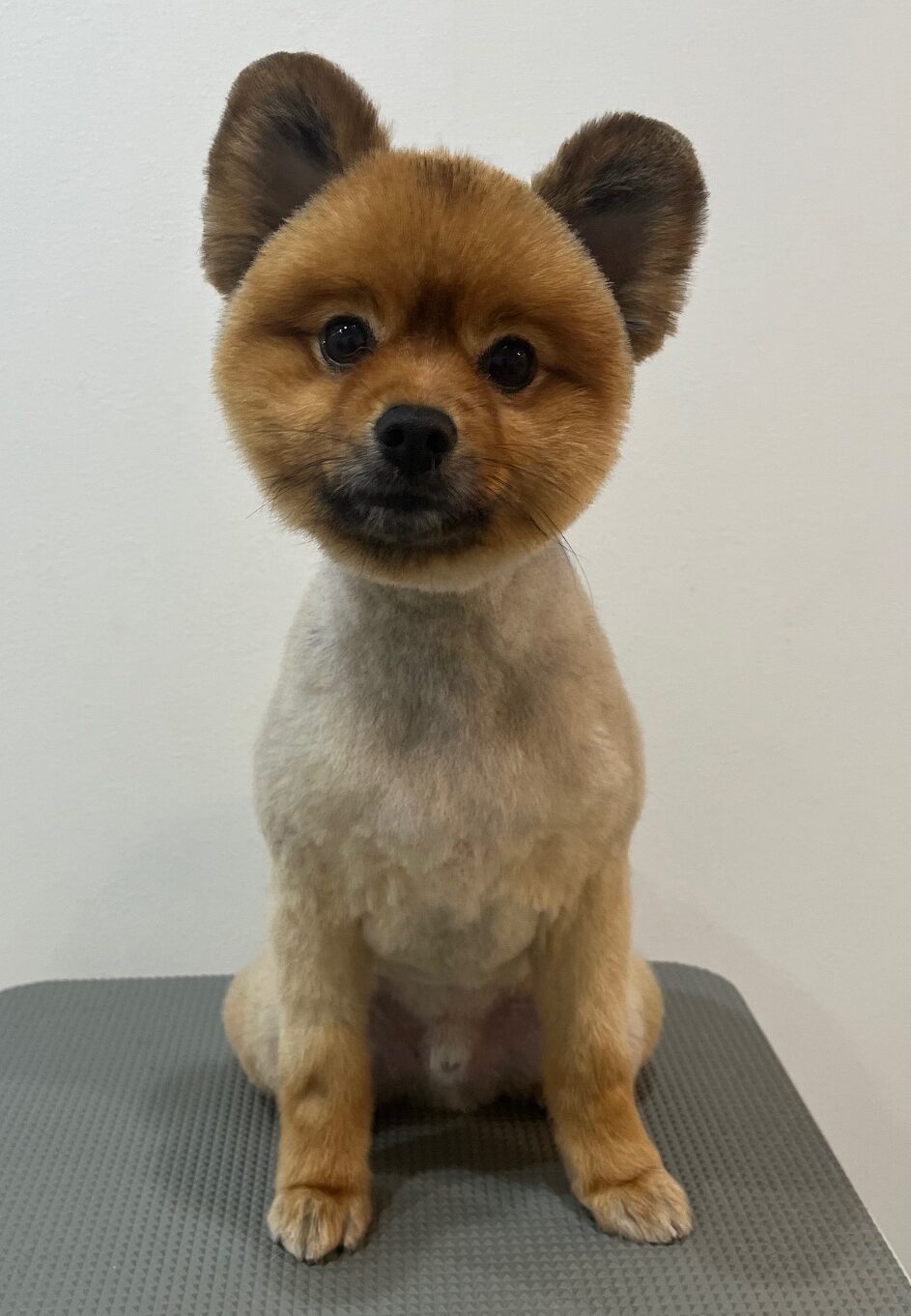 2025-10-6-%e5%a0%80%e6%b1%9f%e3%81%8e%e3%82%93