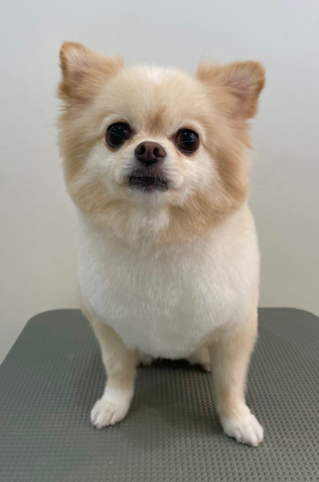 2025-10-6-%e9%87%8e%e6%be%a4%e3%81%8f%e3%81%8f