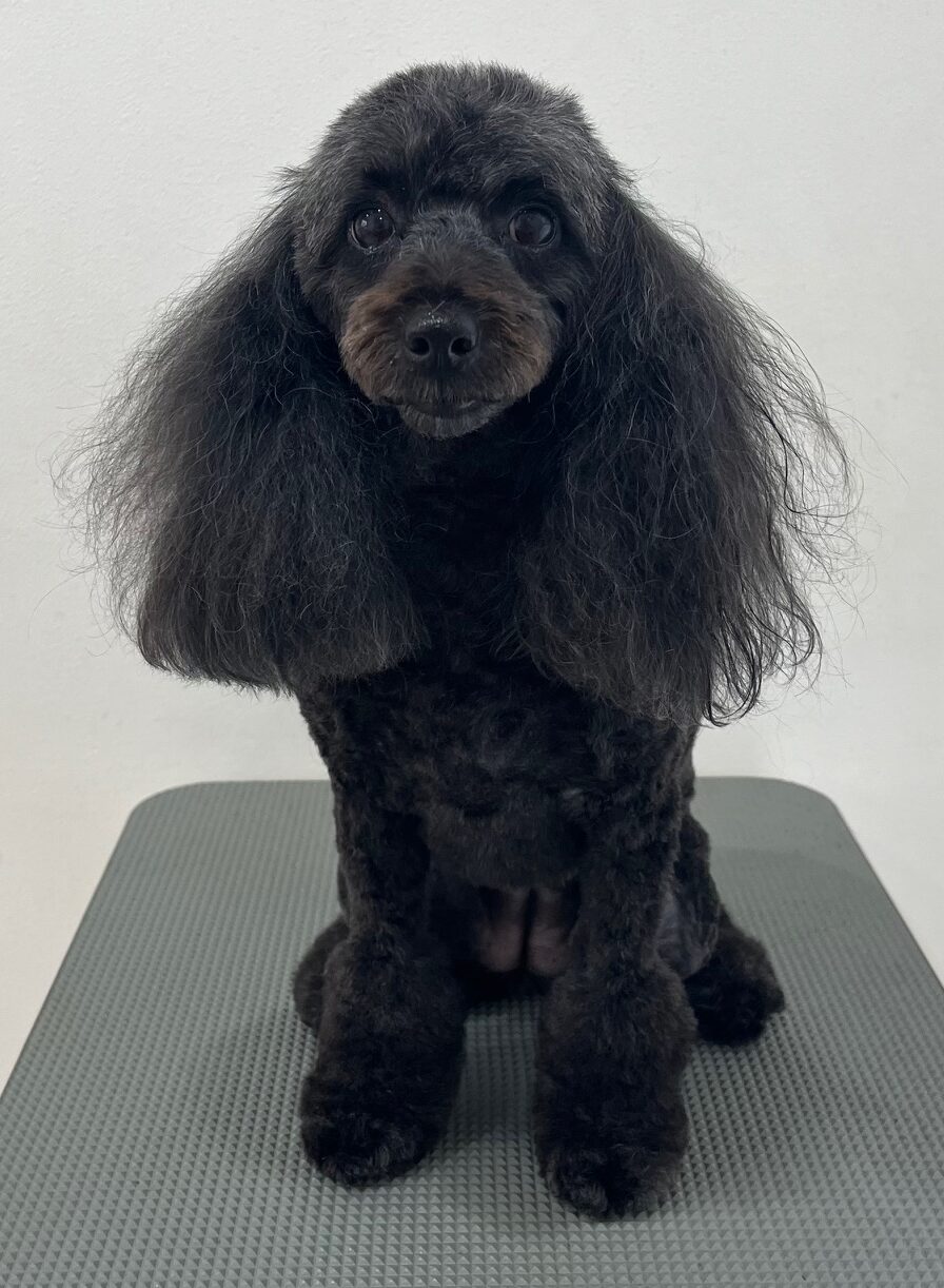 2025-10-6-%e9%ab%99%e7%94%b0%e3%83%a2%e3%82%b3