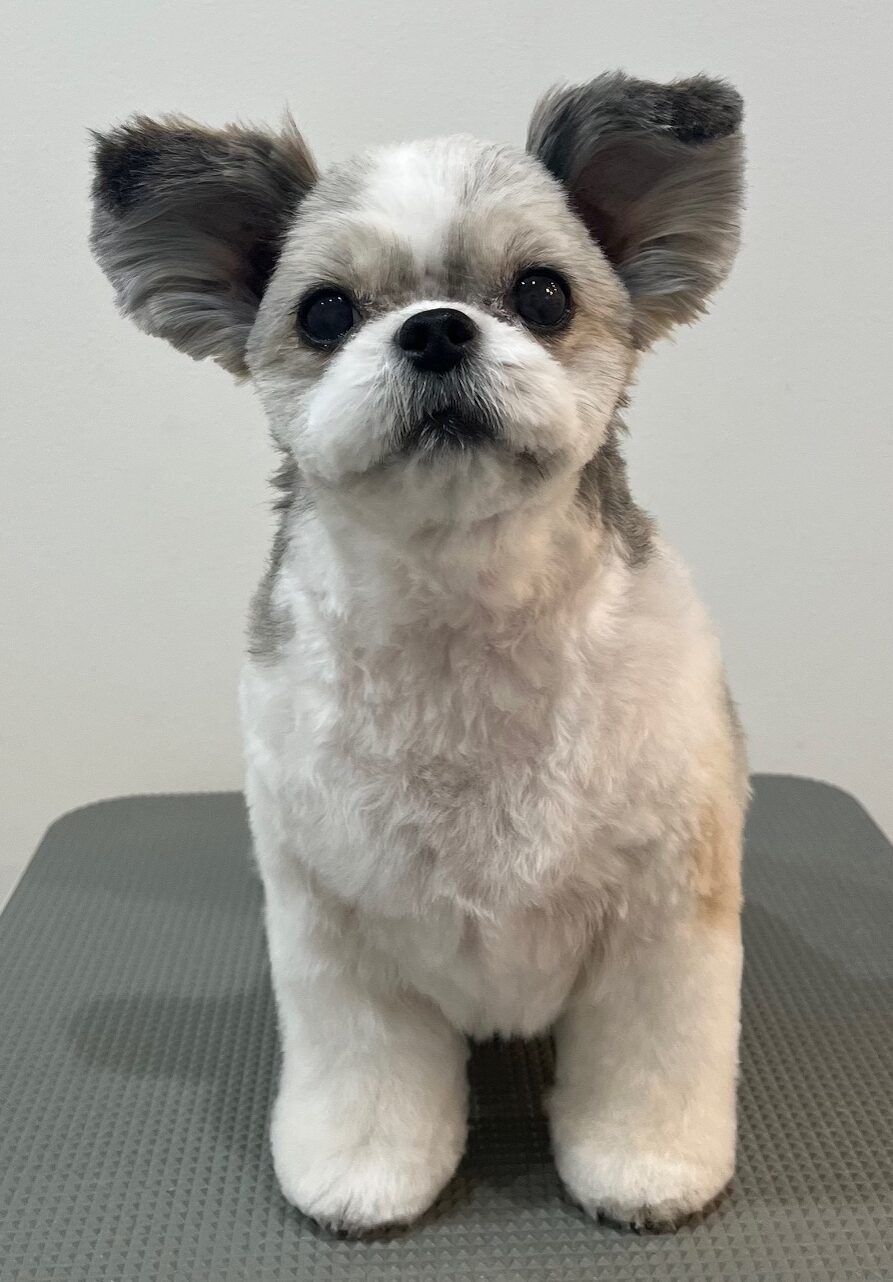 2025-10-7-%e5%a4%9a%e5%96%9c%e3%81%8a%e3%81%af%e3%81%8e