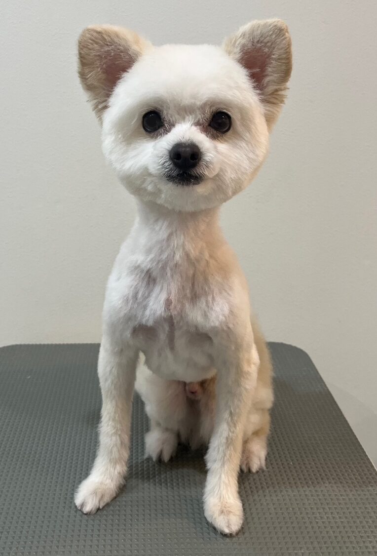 2025-10-7-%e5%b7%9d%e7%94%b0%e3%83%a9%e3%82%ad