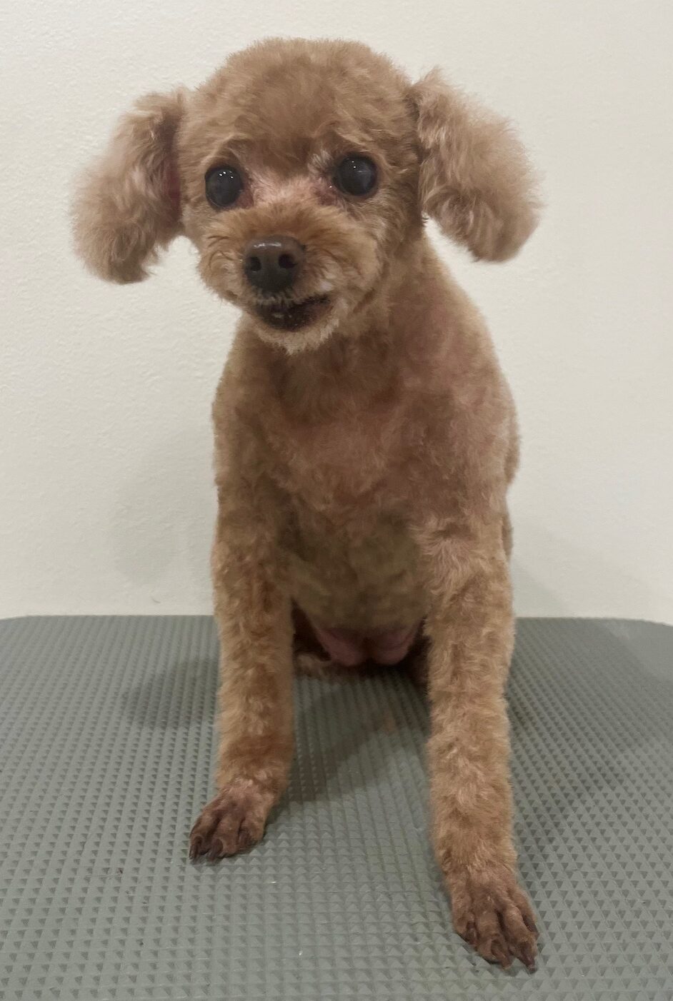 2025-10-7-%e8%a5%bf%e5%b1%b1%e3%83%81%e3%83%a3%e3%82%b3