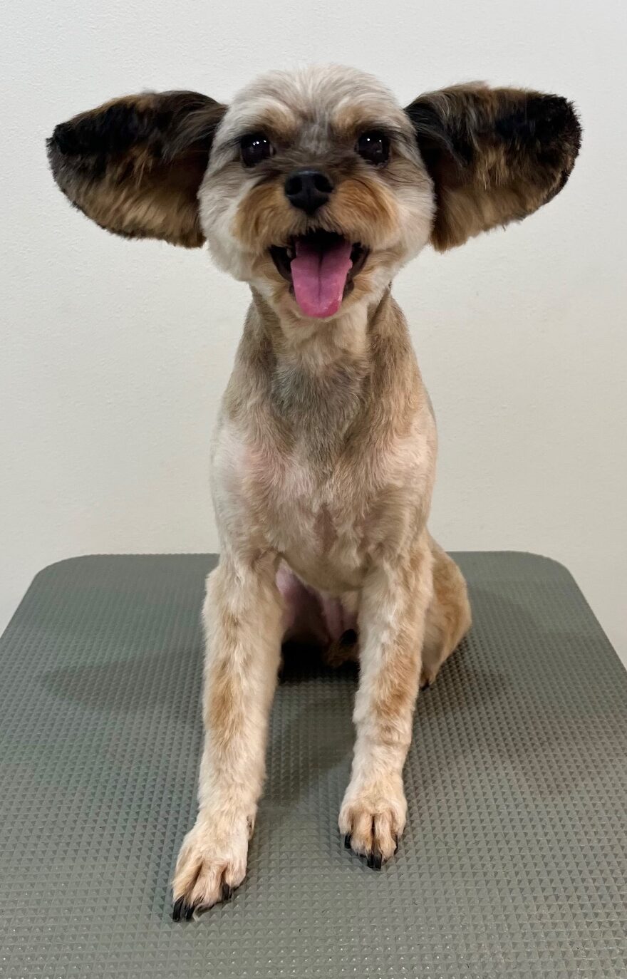 2025-10-7-%e9%87%9c%e4%b8%8b%e3%81%95%e3%81%a4%e3%81%8d