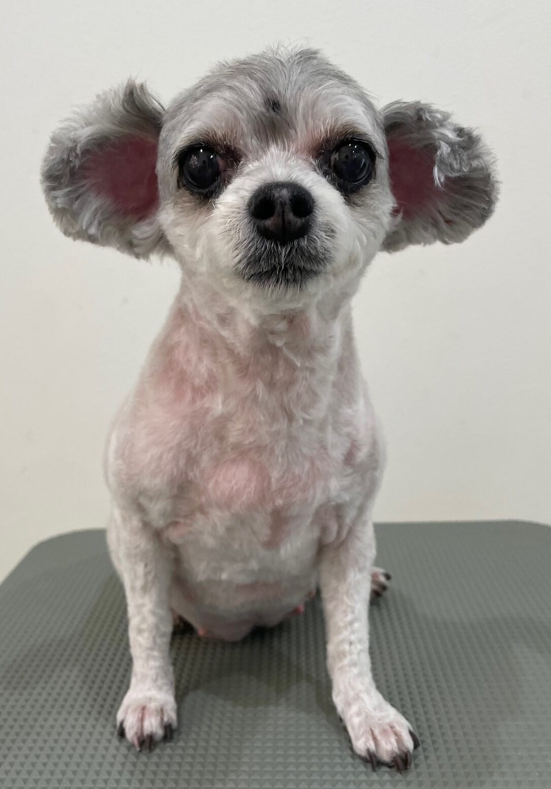 2025-11-16%e5%bb%a3%e7%94%b0%e3%81%82%e3%82%93%e3%81%aa