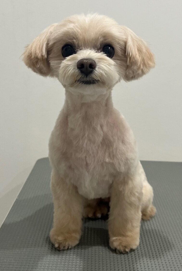 2025-11-10-%e5%8a%a0%e8%97%a4%e3%83%9e%e3%83%ad%e3%83%b3