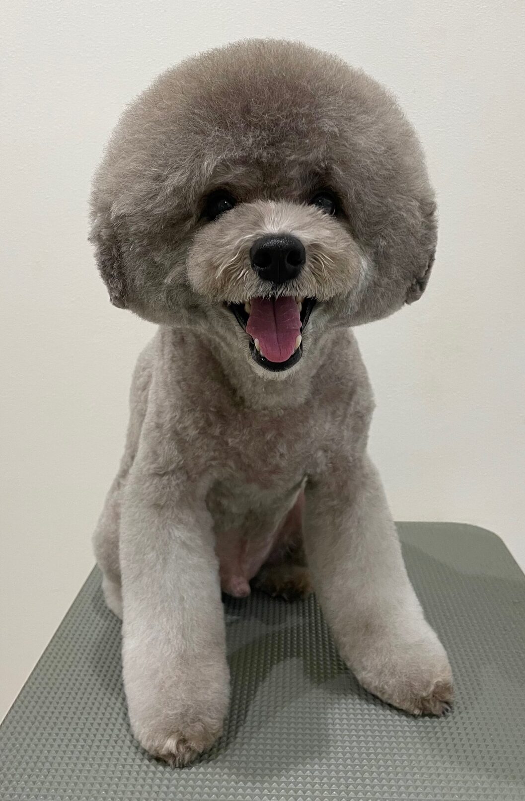 2025-11-10-%e5%92%8c%e6%b3%89%e3%83%8b%e3%82%b3