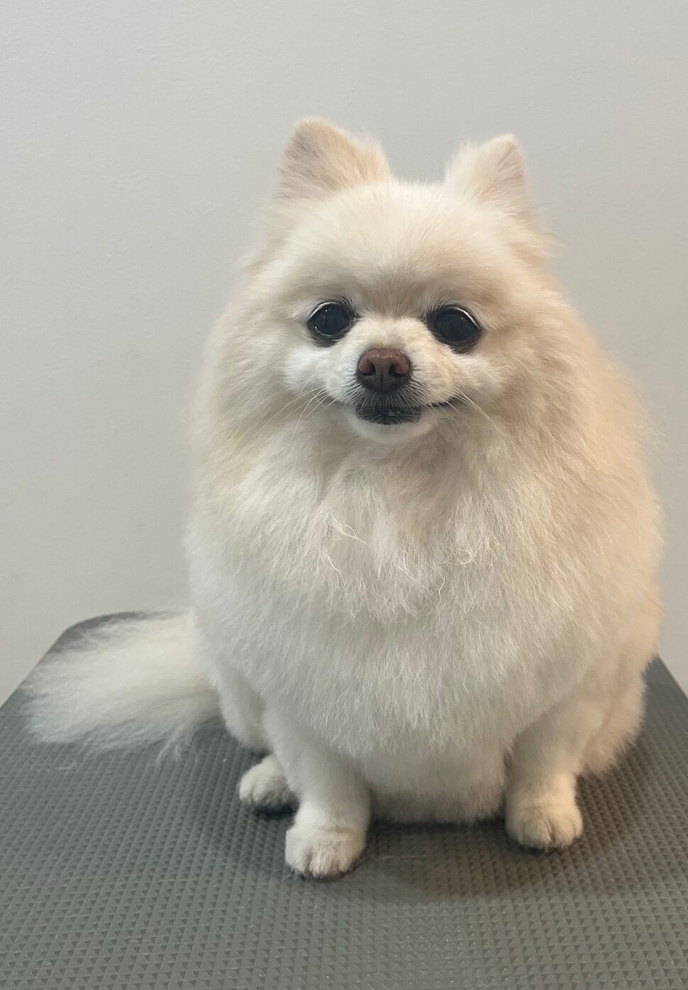 2025-11-10-%e6%97%a5%e5%a4%8f%e3%83%8a%e3%83%8a