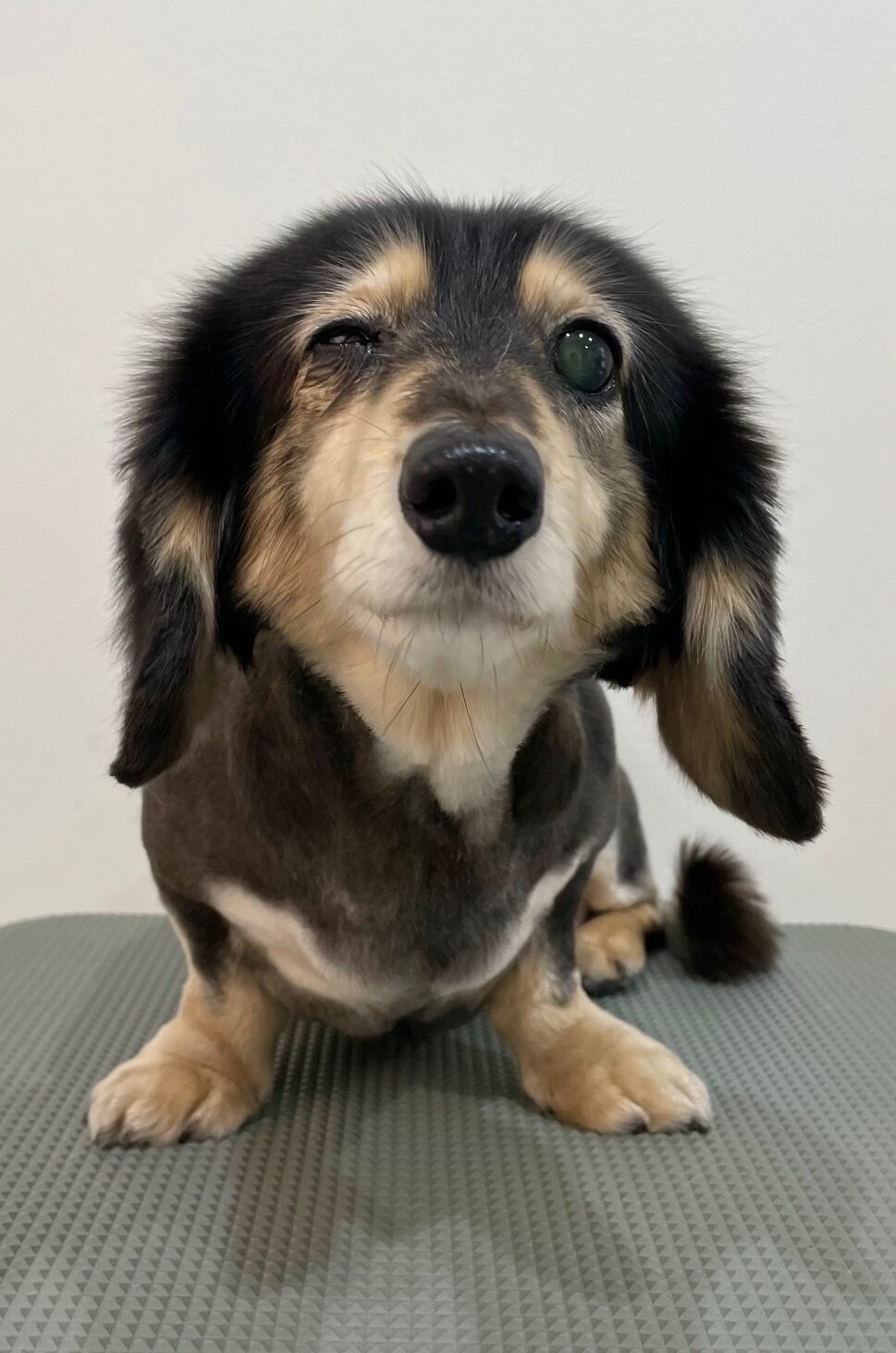 2025-11-10-%e6%9f%8f%e6%9c%a8%e3%82%82%e3%82%82