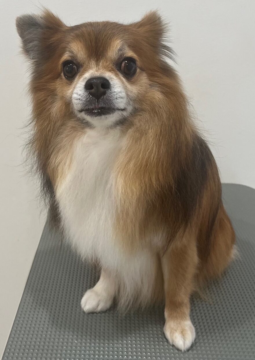 2025-11-10-%e7%80%ac%e6%88%b8%e3%83%ab%e3%83%bc%e3%82%af