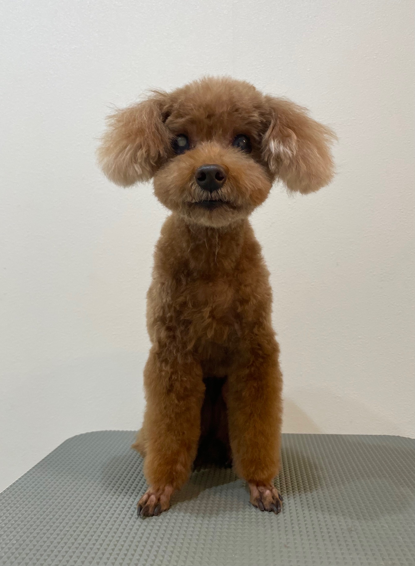 2025-11-11%e6%9c%ac%e5%a4%9a%e9%99%bd%e8%8f%9c