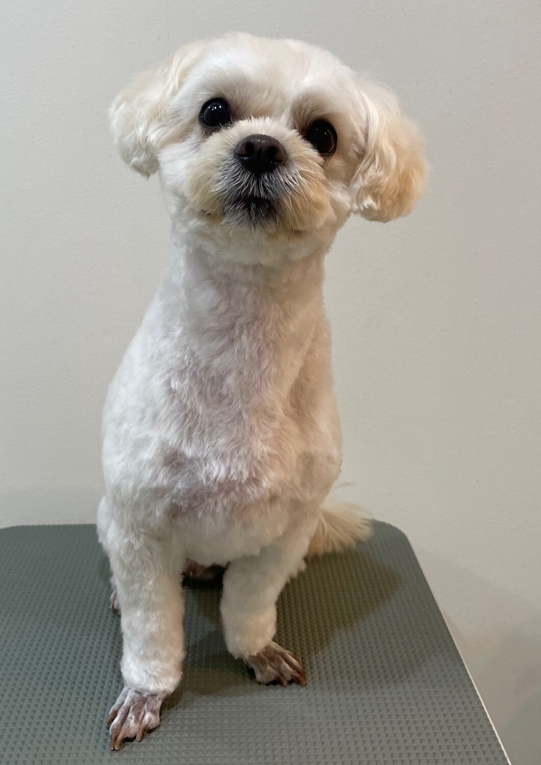 2025-11-11%e6%9d%be%e4%ba%95%e3%81%93%e3%82%8d