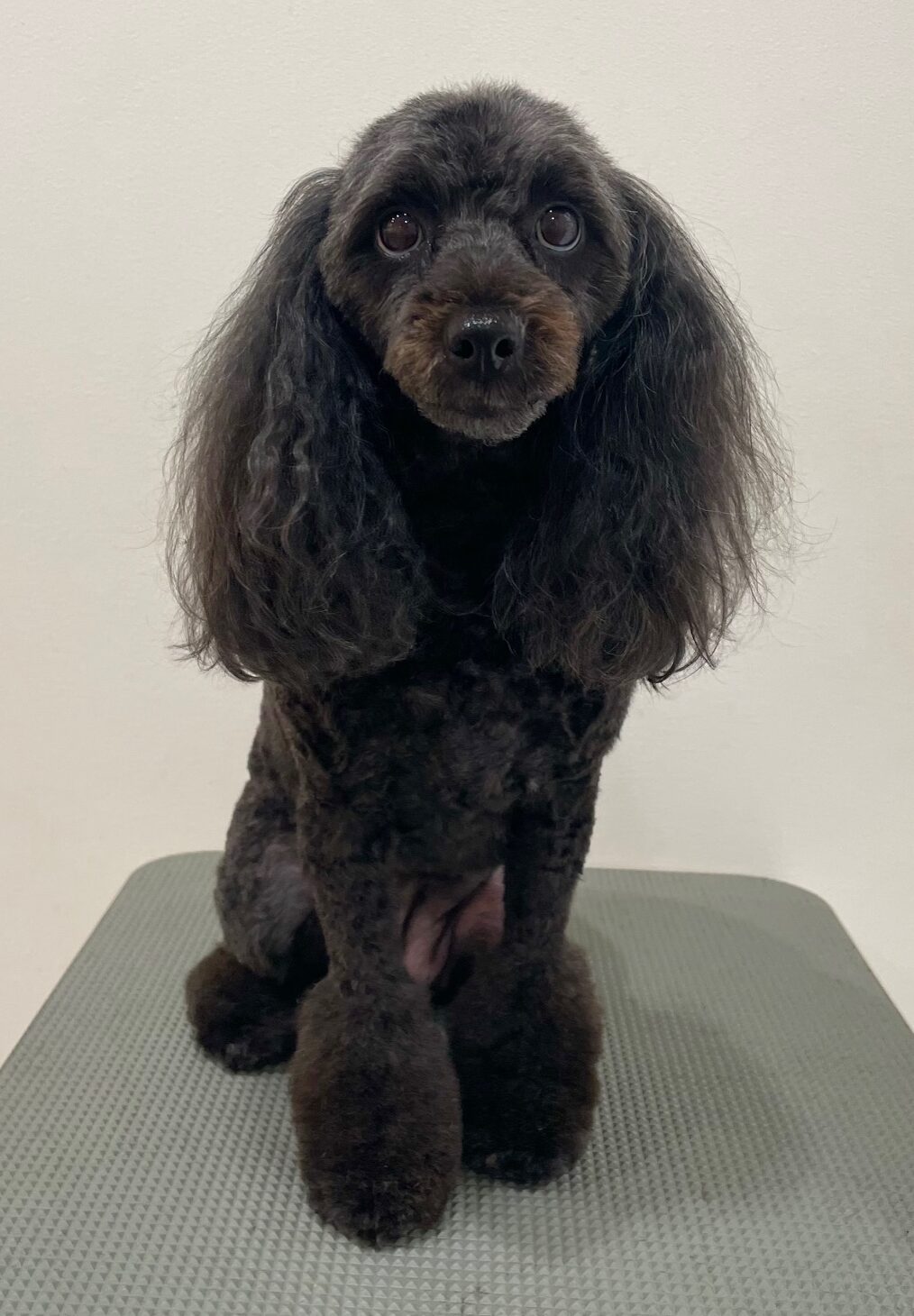 2025-11-11%e9%ab%99%e7%94%b0%e3%83%a2%e3%82%b3