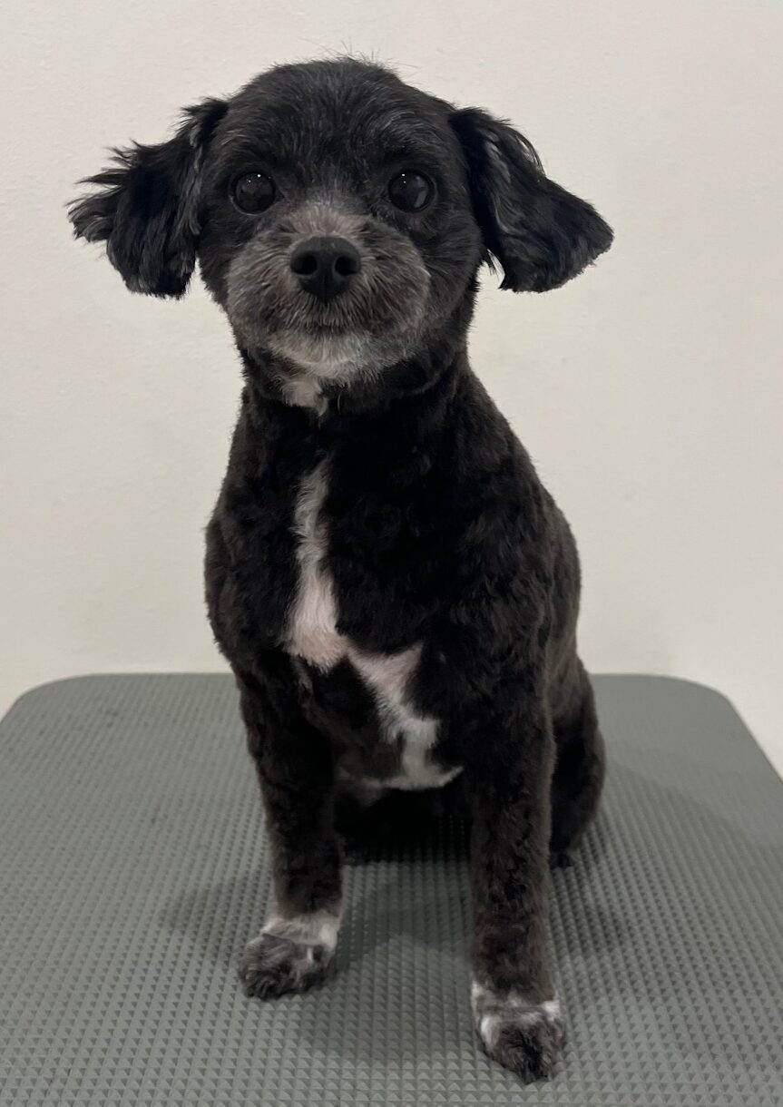 2025-11-12-%e6%a8%8b%e5%8f%a3%e6%a2%85