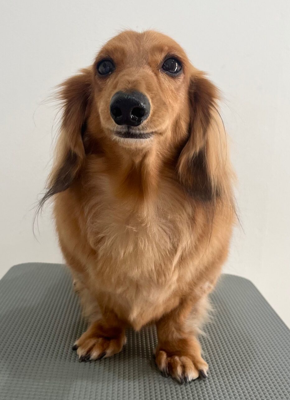 2025-11-14%e5%b0%8f%e6%9e%97%e3%83%ad%e3%83%b3