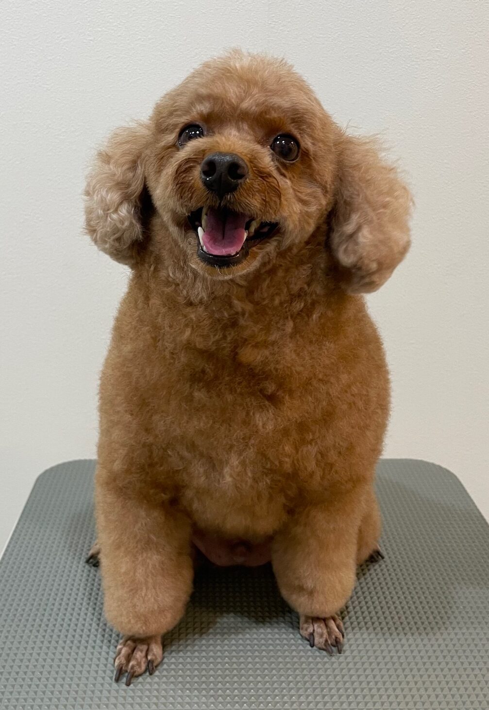 2025-11-14%e5%b0%8f%e9%87%8e%e3%81%8f%e3%81%85