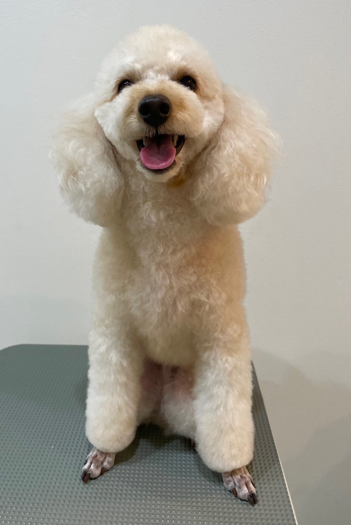 2025-11-14%e5%b0%8f%e9%87%8e%e3%81%ba%e3%81%93