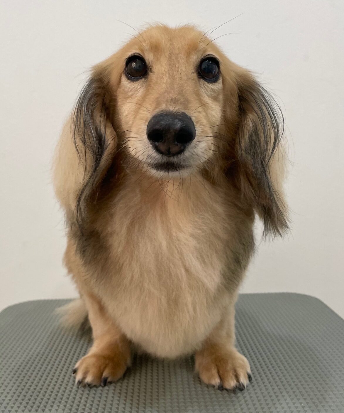 2025-11-14%e5%b3%b6%e7%94%b0%e6%99%b4