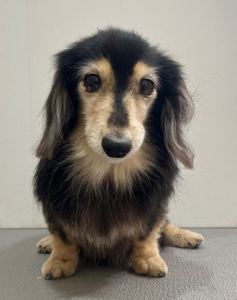 2025-11-14%e5%b3%b6%e7%94%b0%e8%8a%b1%e7%81%ab