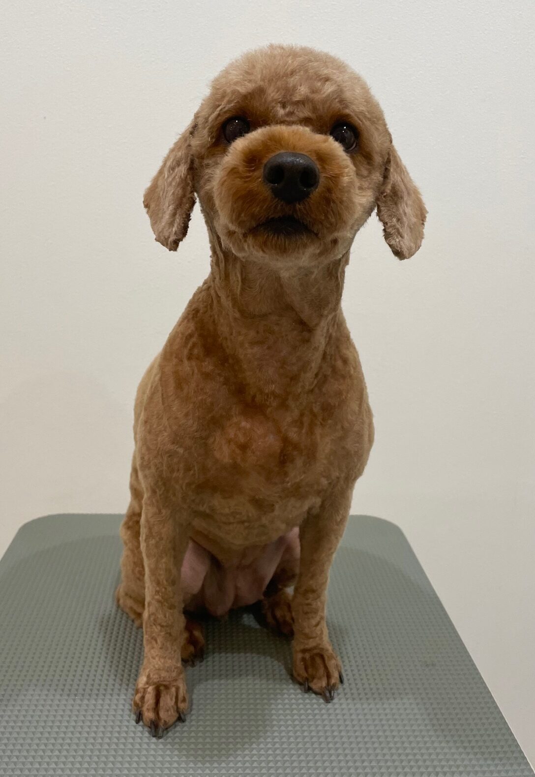 2025-11-16%e8%ab%b8%e6%98%9f%e5%b0%8f%e9%9b%aa