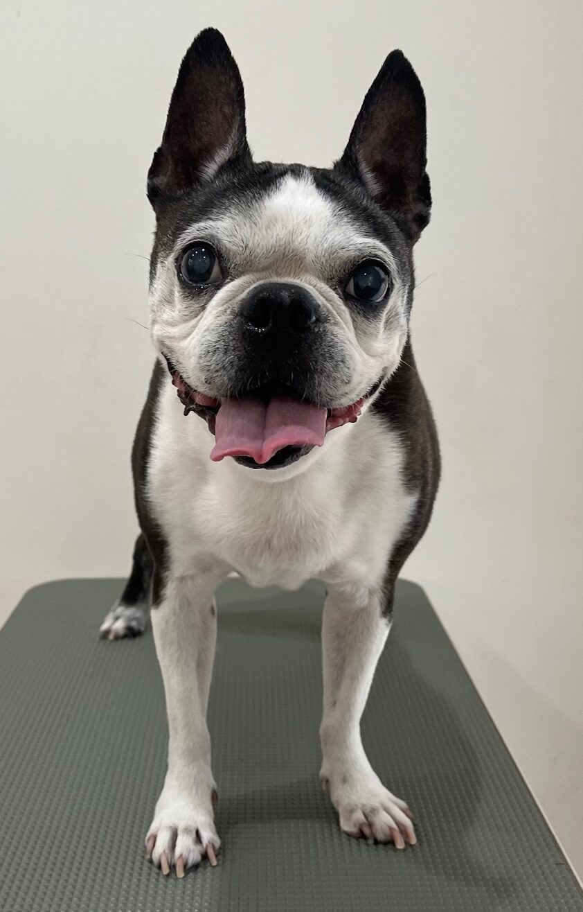 2025-11-16%e8%b1%8a%e5%b7%bb%e3%83%ab%e3%83%bc%e3%82%af