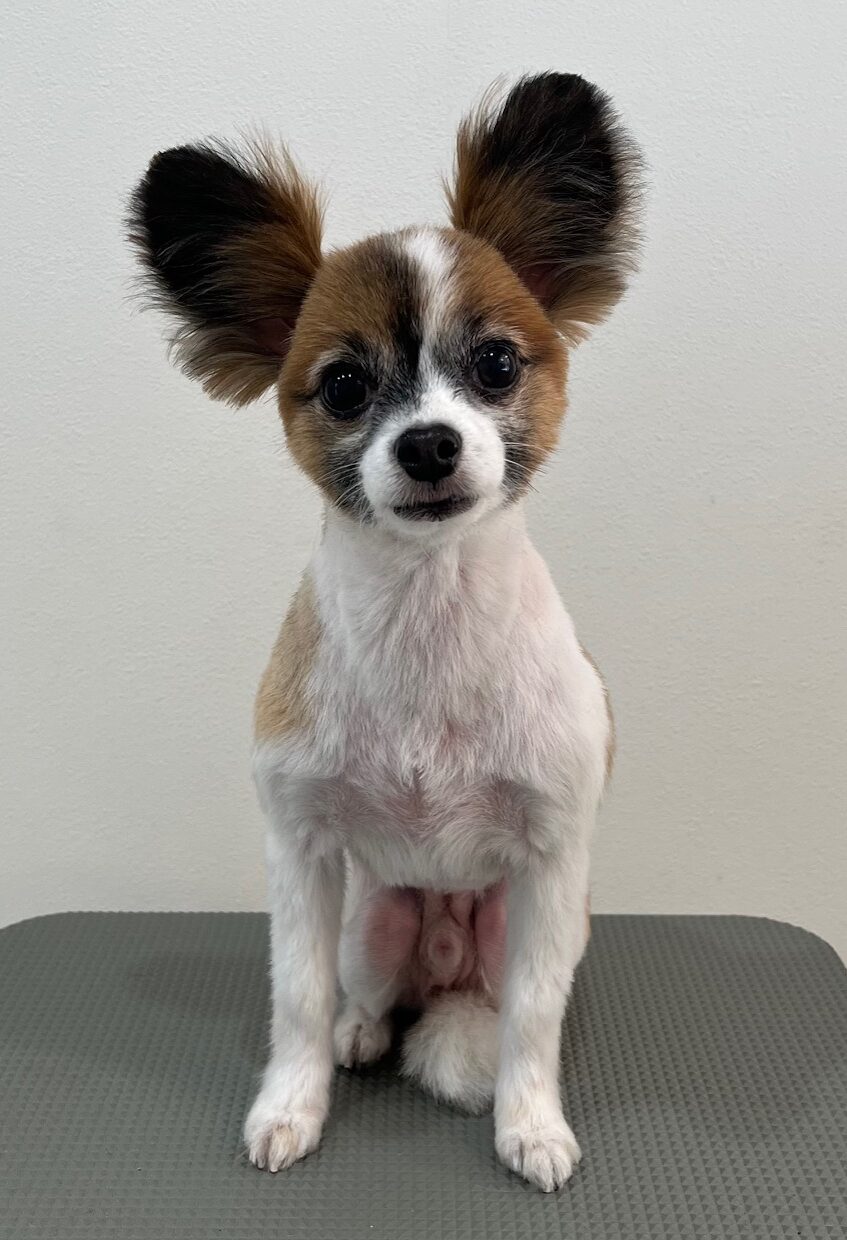 2025-11-17%e5%b0%8f%e6%9d%be%e3%82%b3%e3%82%b3%e3%82%a2