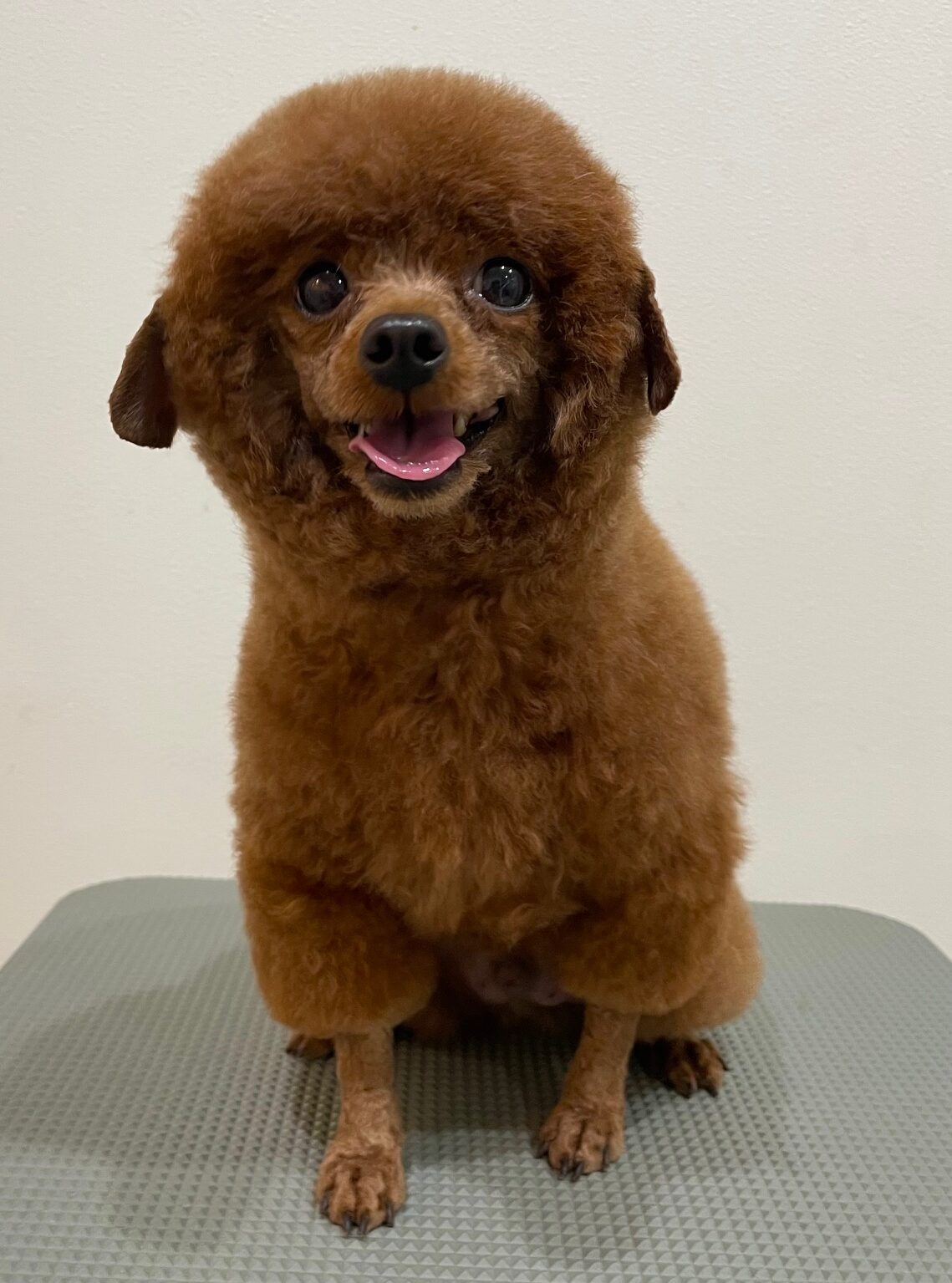 2025-11-17%e5%b0%8f%e6%9e%97%e3%83%97%e3%83%81