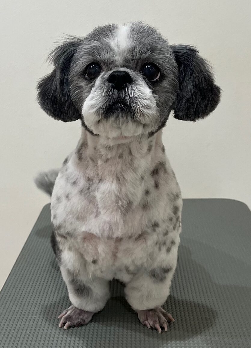 2025-11-17%e5%b0%8f%e9%87%8e%e3%83%9d%e3%82%b3