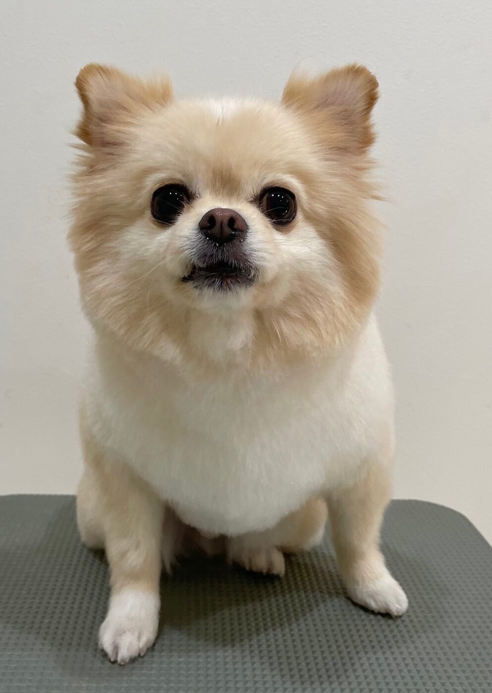 2025-11-17%e9%87%8e%e6%be%a4%e3%81%8f%e3%81%8f