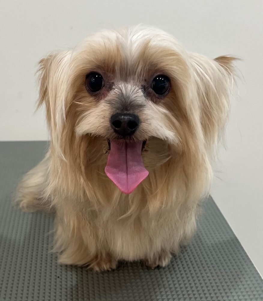 2025-11-18%e8%8d%92%e4%ba%95%e3%83%9f%e3%83%9f