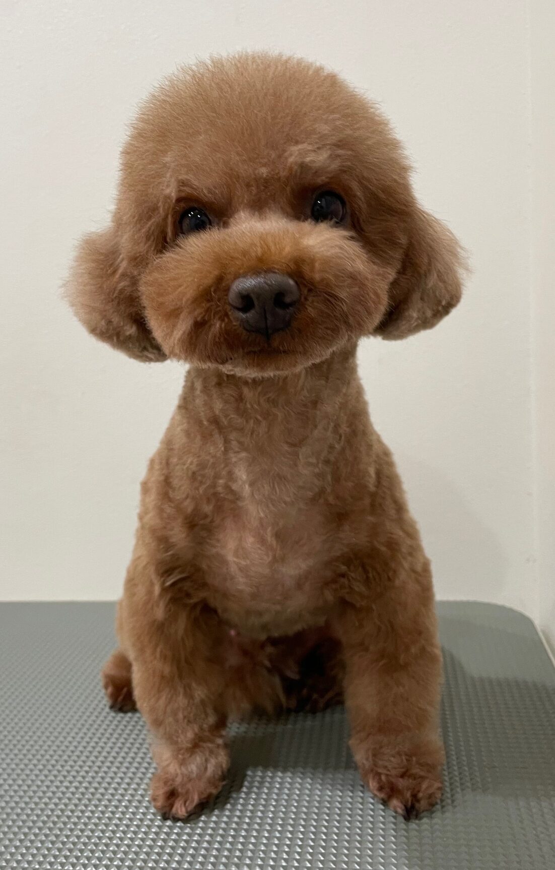 2025-11-18%e8%97%a4%e7%94%b0%e3%82%af%e3%83%ac%e3%82%a2