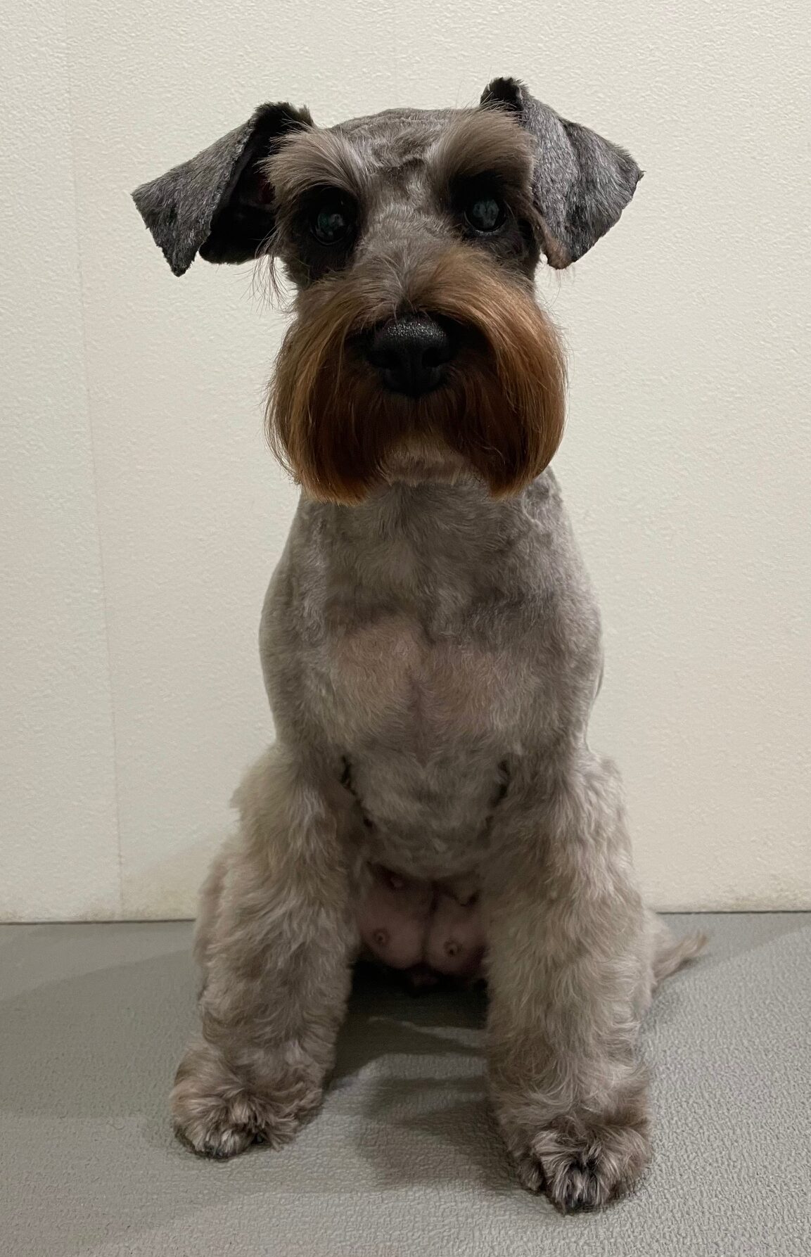 2025-11-18%e8%97%a4%e7%94%b0%e3%82%af%e3%83%ad%e3%82%a8