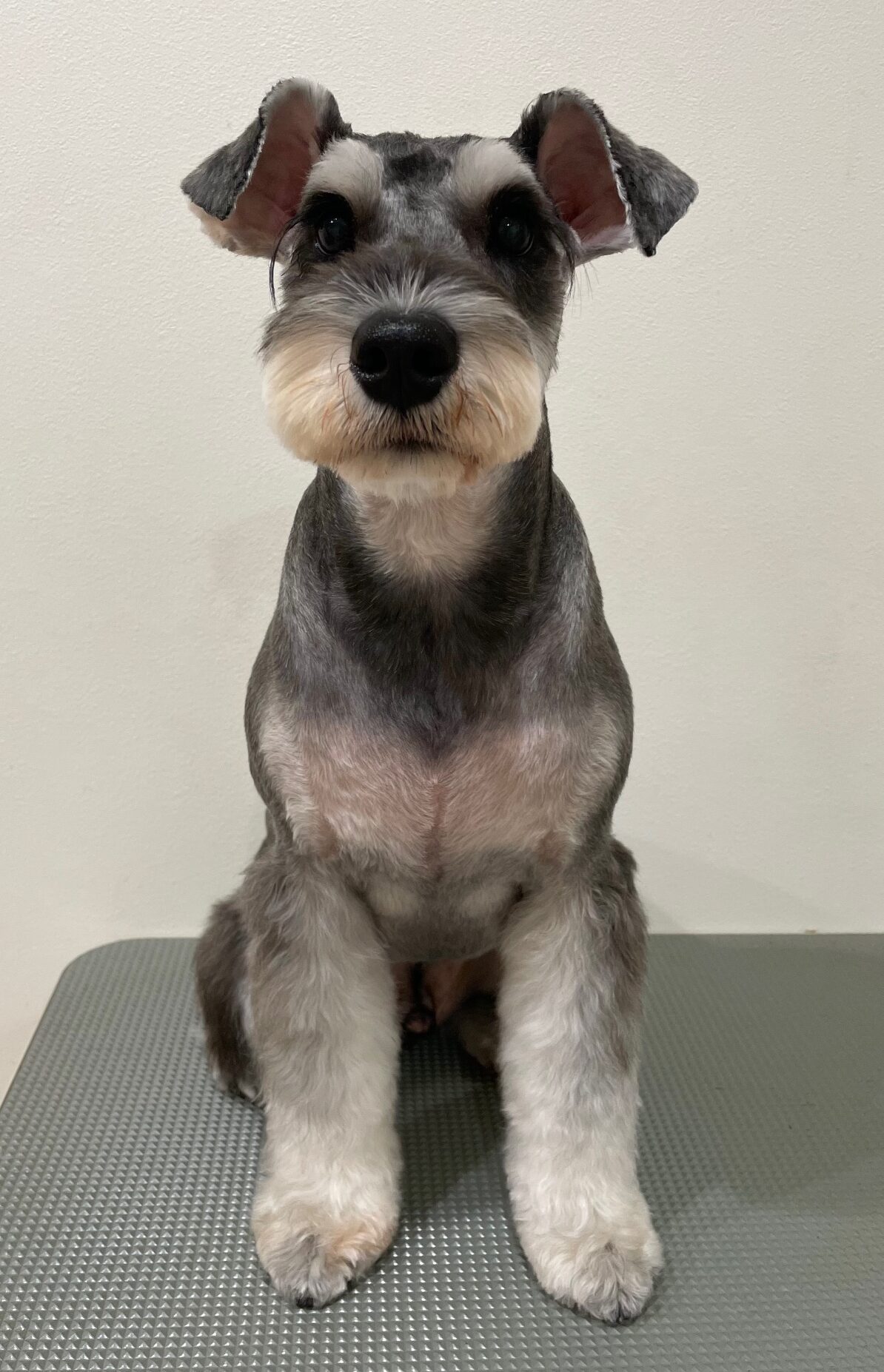 2025-11-18%e8%97%a4%e7%94%b0%e3%83%86%e3%82%a3%e3%83%b3%e3%83%90