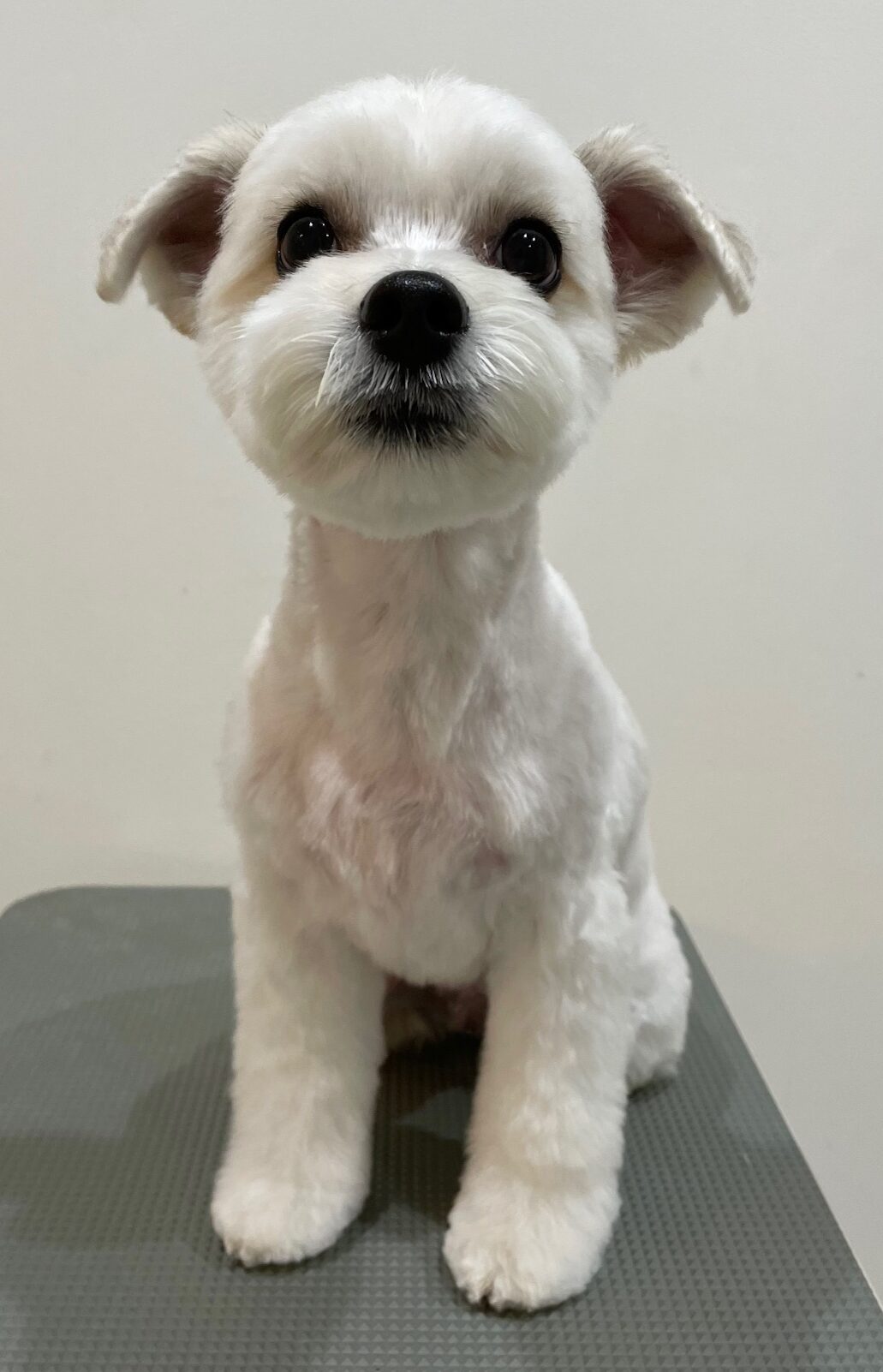 2025-11-19%e5%8a%a0%e8%b3%80%e3%83%a9%e3%83%a9